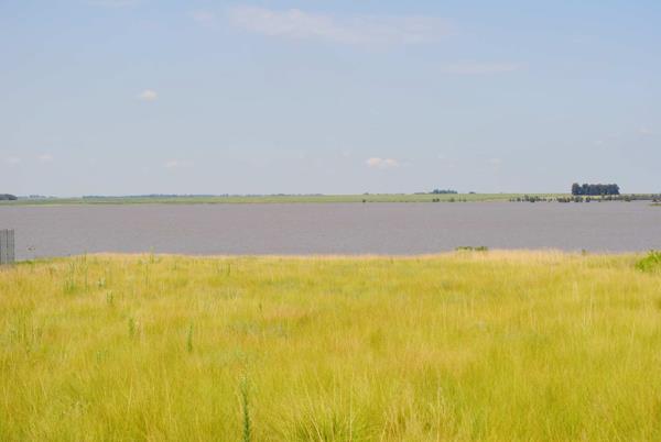1.5 ha Land