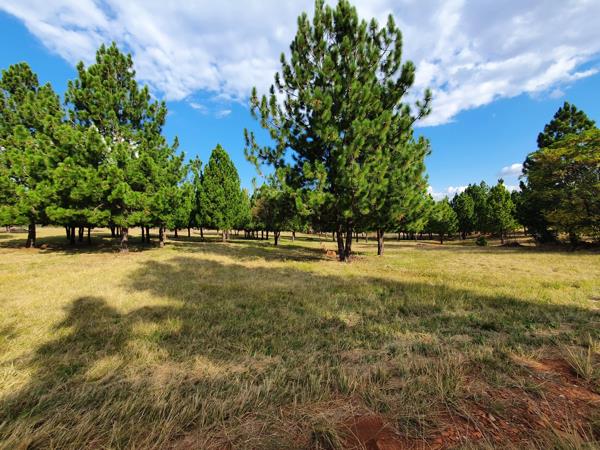 11 ha Land