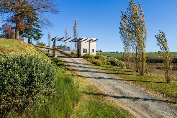 4 996 m² Land
