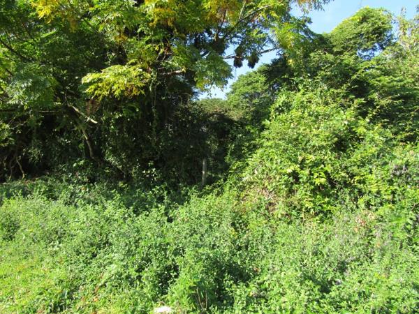 1 086 m² Land