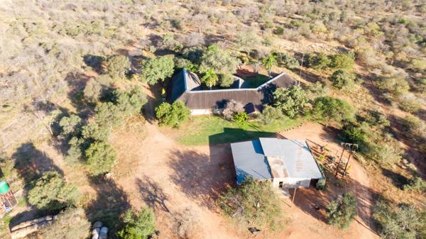 906 ha Farm