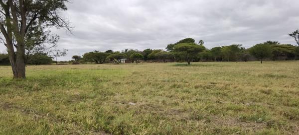 736 m² Land