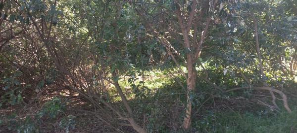 571 m² Land