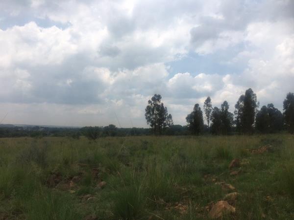 3.9 ha Land