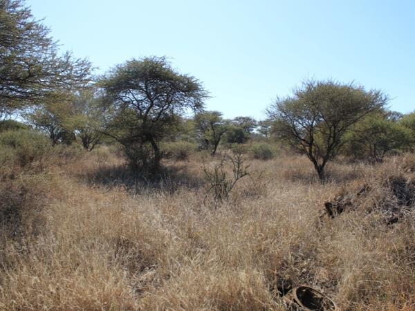 374 m² Land