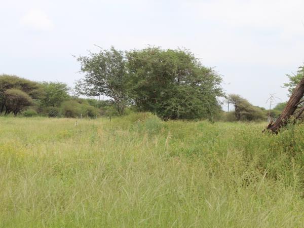 374 m² Land