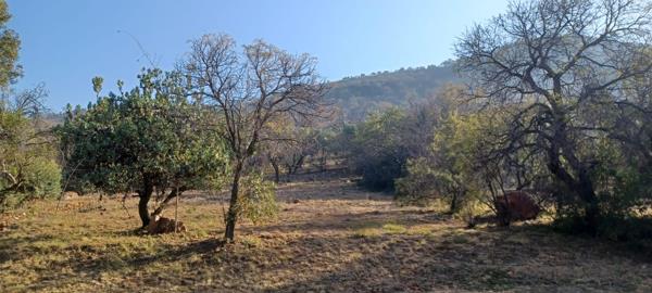 1 085 m² Land