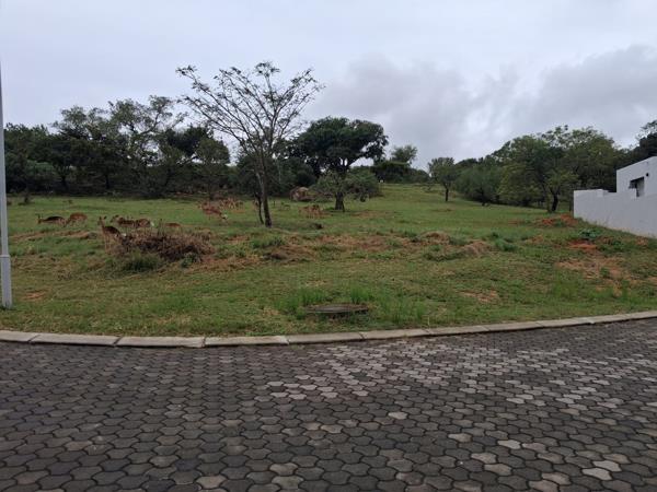 921 m² Land