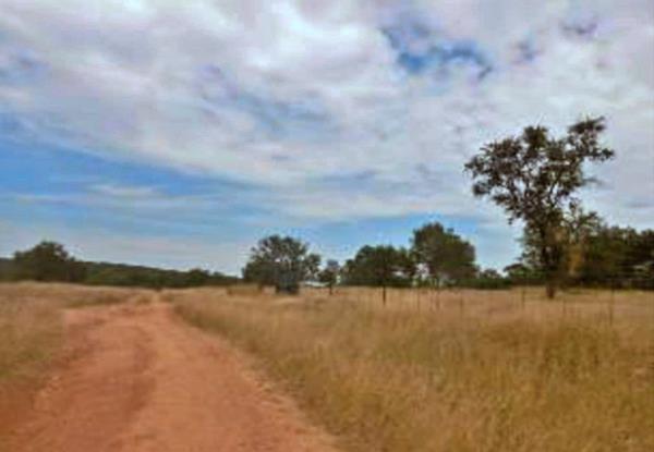731 ha Farm