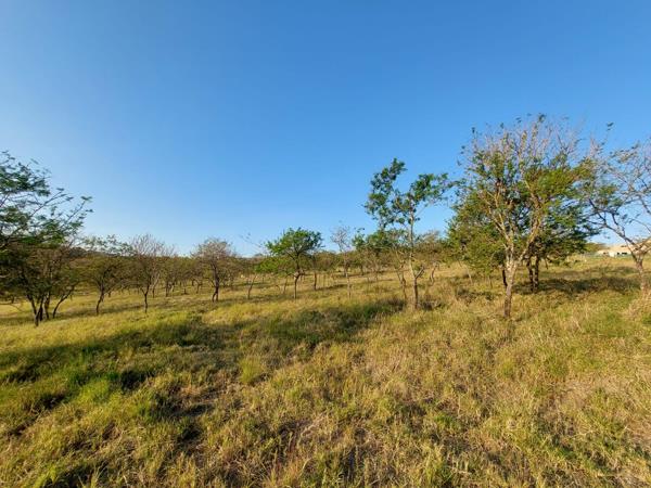 1 031 m² Land