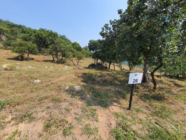 1 555 m² Land