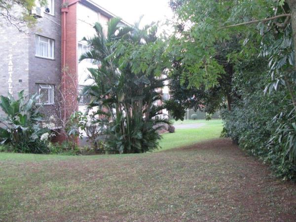 1.5 Bedroom Apartment