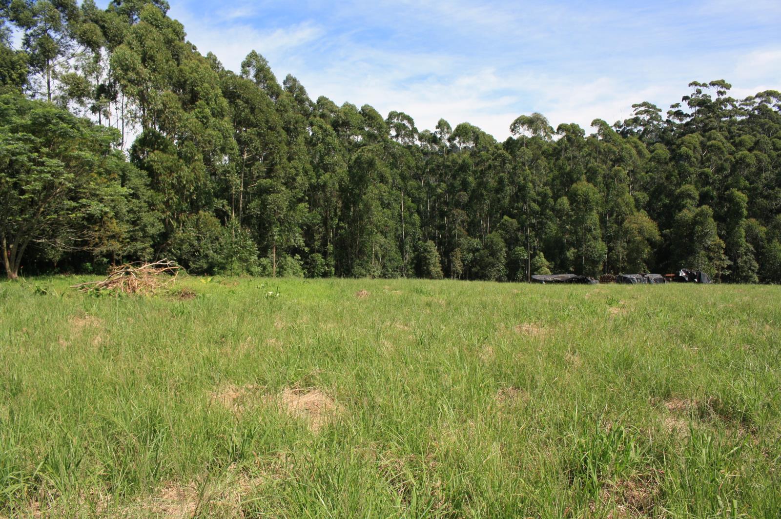 3.6 ha Land for sale in Hilton | T3822601 | Private Property
