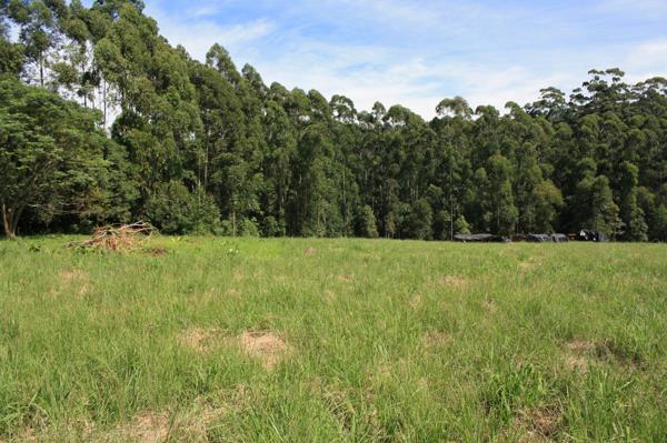 3.6 ha Land