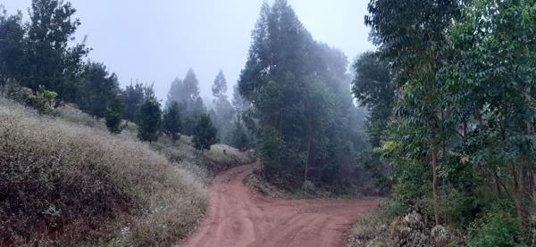 42.8 ha Farm