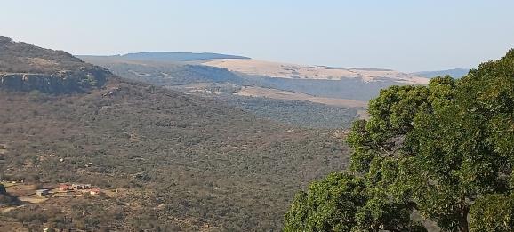 125 ha Farm