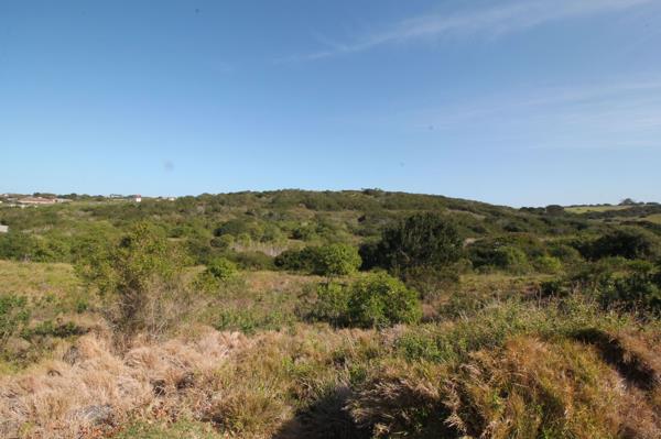 1 233 m² Land