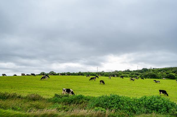 208 ha Farm