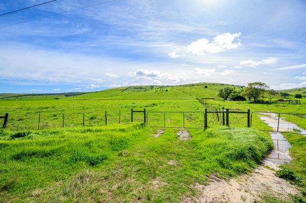 1 331 ha Farm
