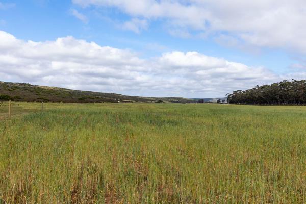 969 ha Farm