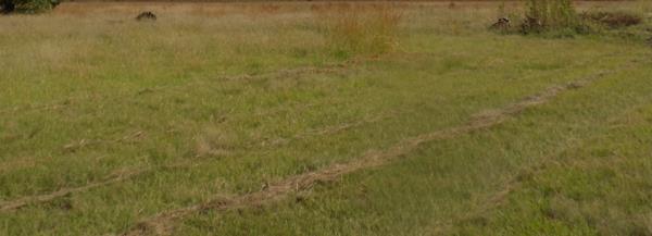1 ha Land