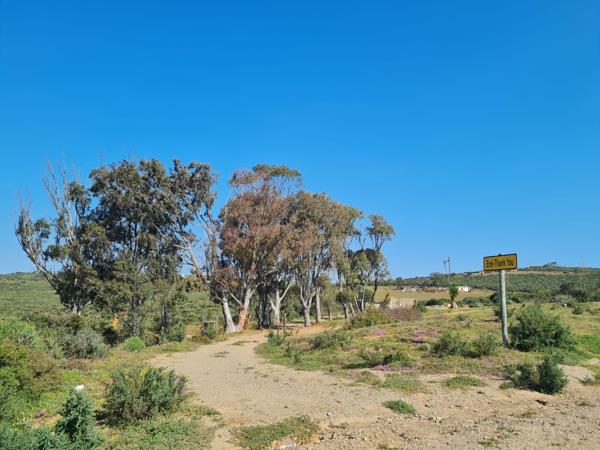 9 ha Land