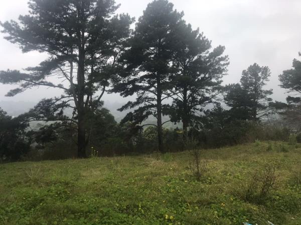 3 817 m² Land