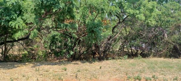 960 m² Land