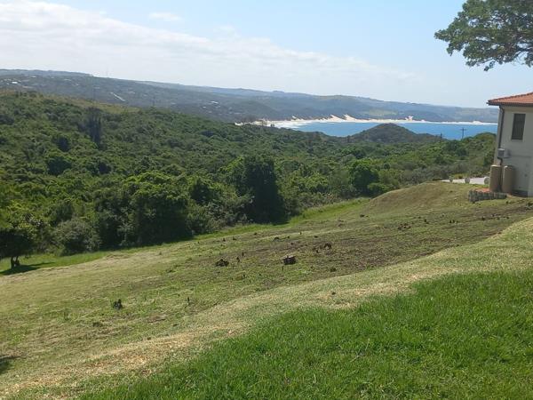 1 162 m² Land