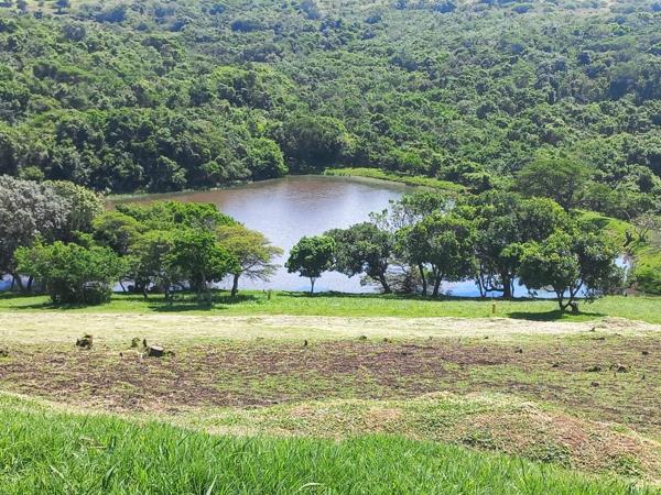 1 006 m² Land