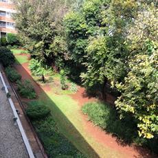 2 Bedroom Apartment in Illovo