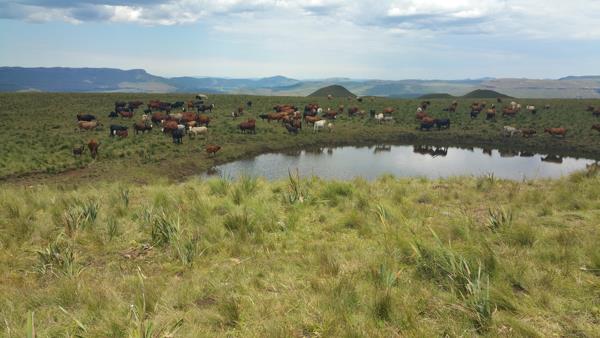 3 063 ha Farm