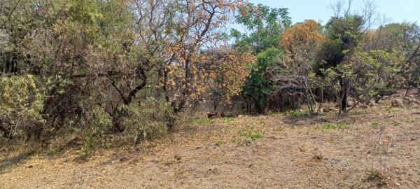 1 110 m² Land