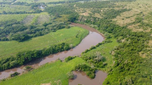 8 386 m² Land