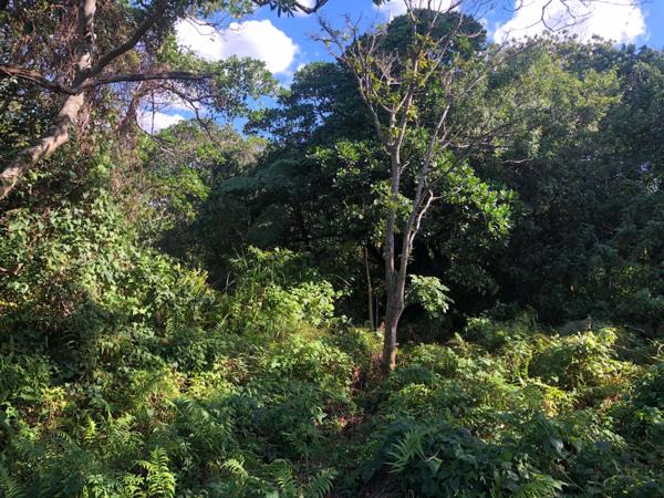 1 551 m² Land