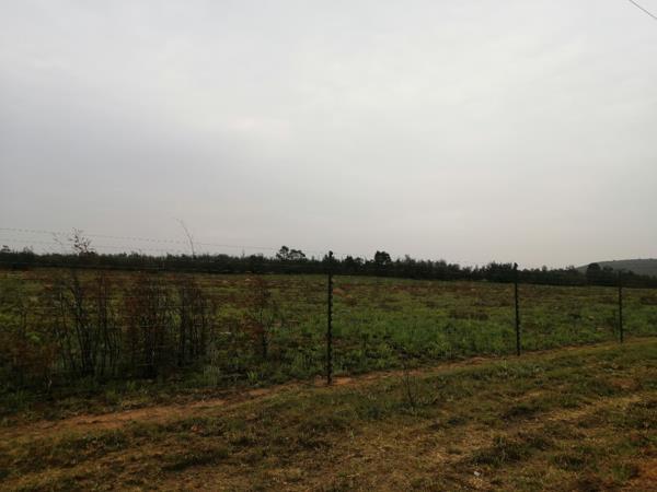 8.5 ha Land