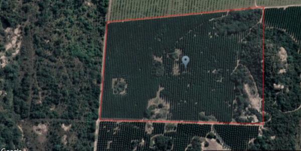 61.1 ha Land