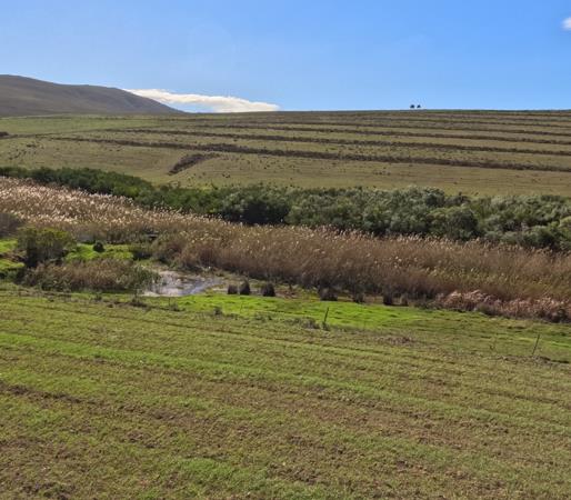 23 ha Commercial Farm