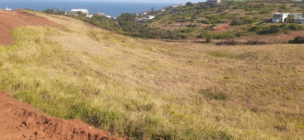 1.1 ha Land