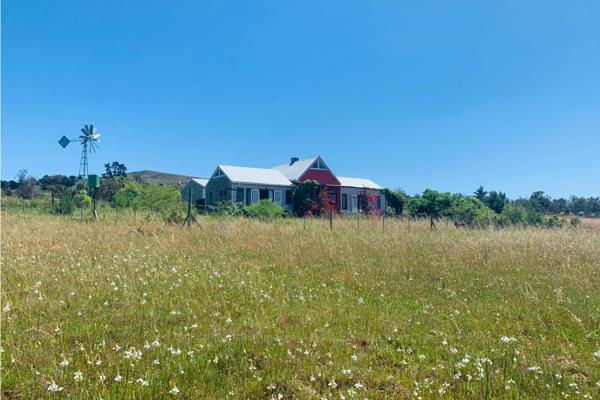 19.2 ha Smallholding