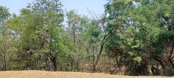 960 m² Land