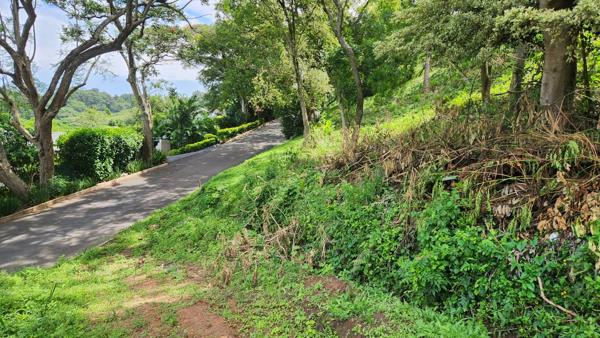 1 565 m² Land
