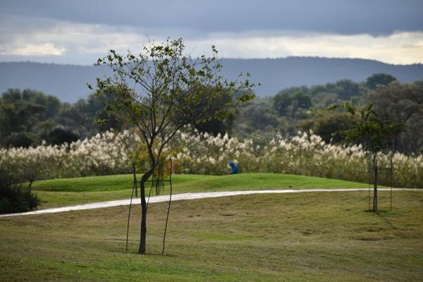 1 100 m² Land