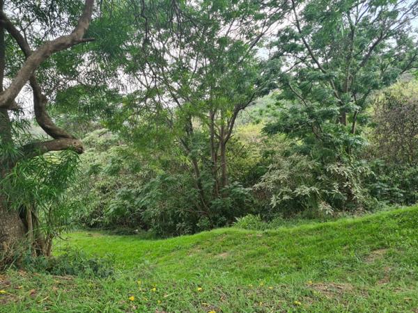 1 750 m² Land
