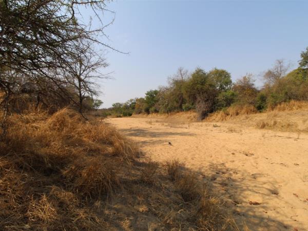 9 031 m² Land