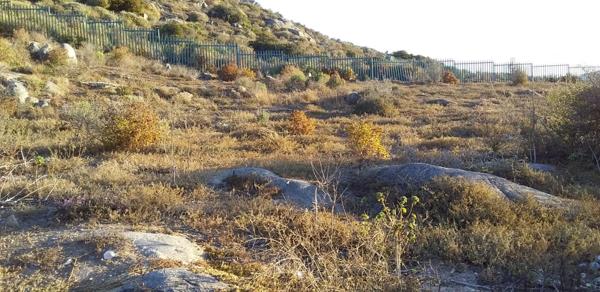 697 m² Land