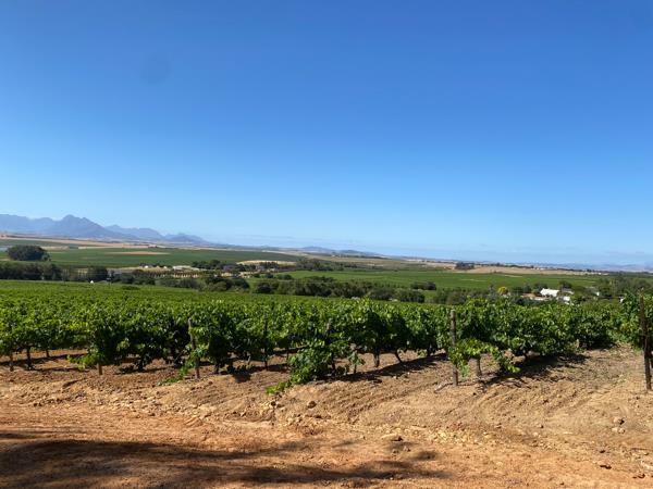 704 m² Land