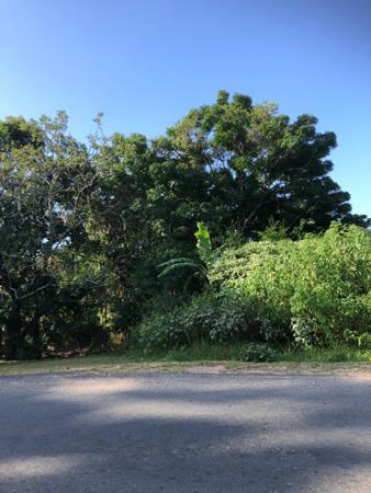 9.8 ha Land
