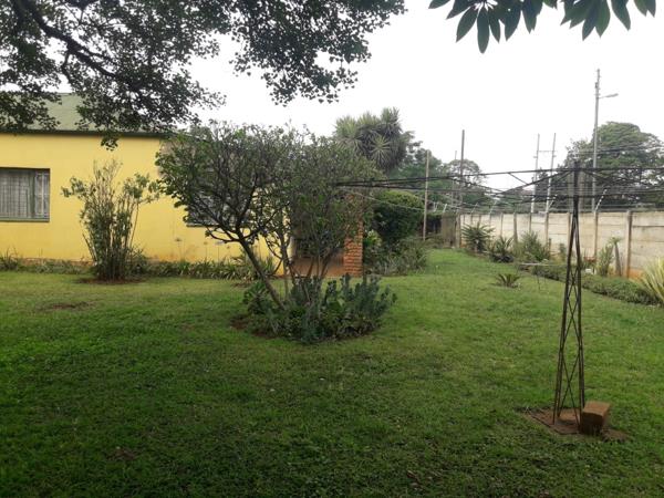 250  m² Commercial space