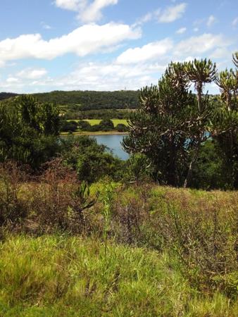 1 267 m² Land